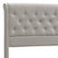 Caddo Velvet Upholstered Bed With Hydraulic Lever, Functional Storage Bed, Rivet Decoration-365473878-396243066
