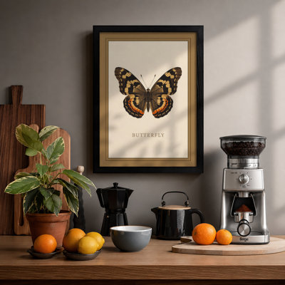 Butterfly Specimen Study Botanical - Print