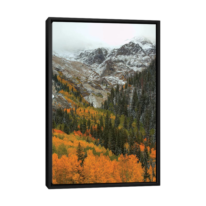 " Orange Flames " by Bill Sherrell, 26" H x 18" W x 1.5" D, Black Framed Canvas, No Mat