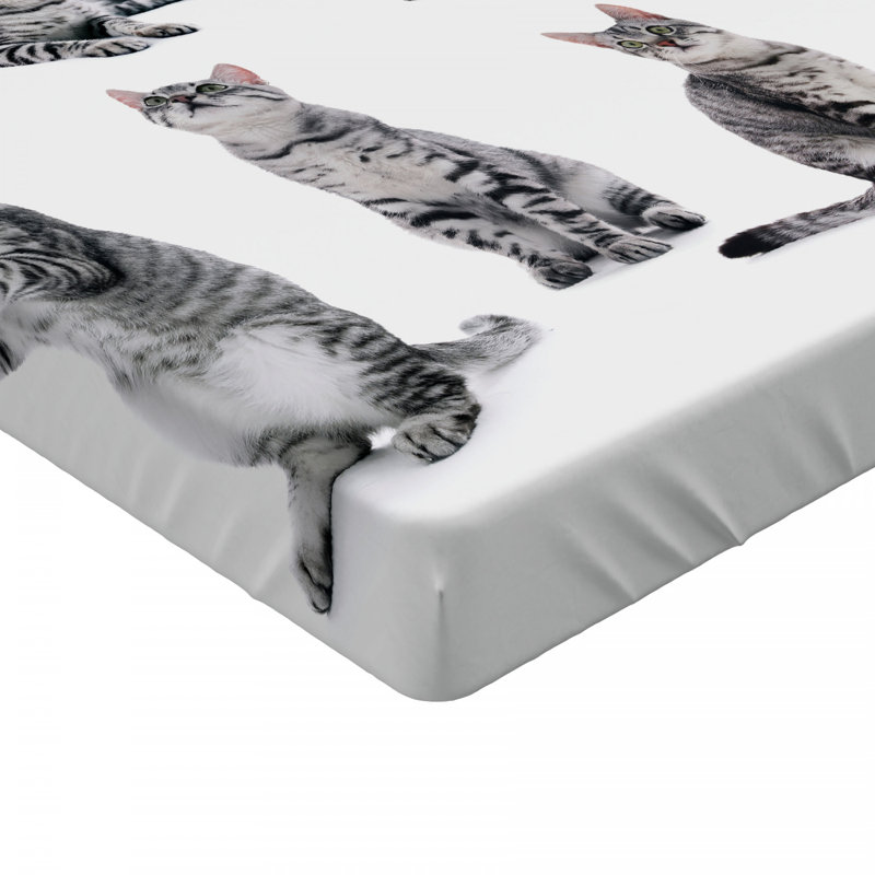 Microfiber Fitted Sheet, Twin Fitted Sheet