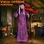 Décoration décorative d'Halloween