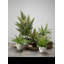 11'' Faux Fern Plant in Freestanding