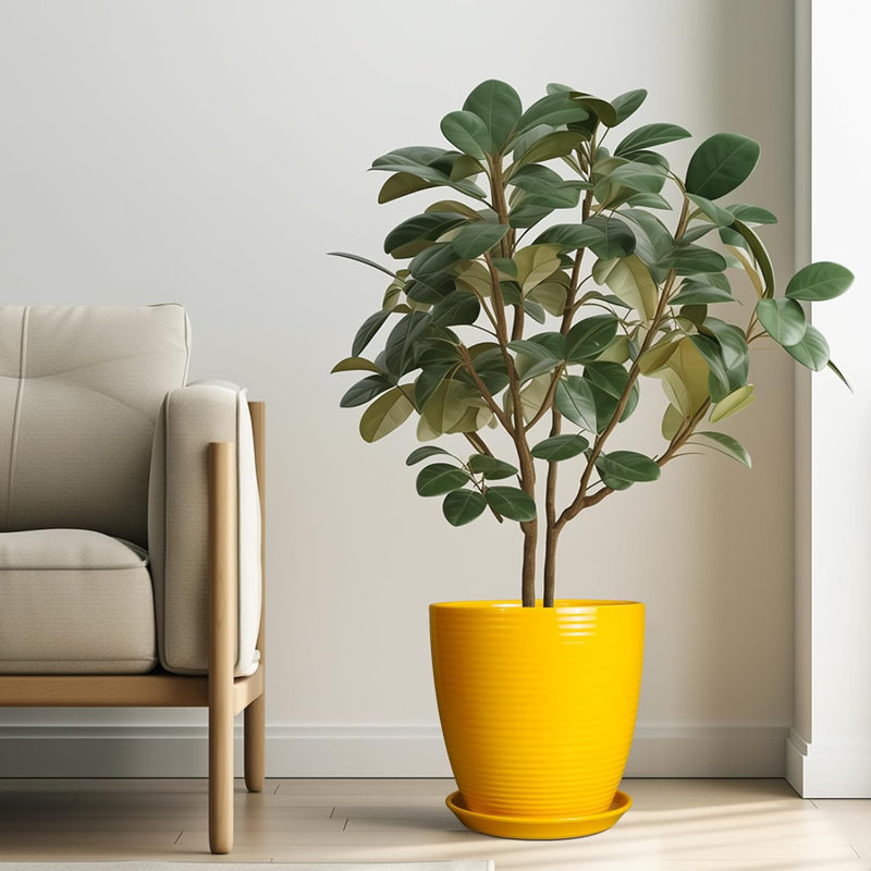 Pot à plante en céramique 10 "avec trou de drainage et soucoupe jaune 10"