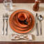 Stoneware Dinnerware - Service for 8-800511155