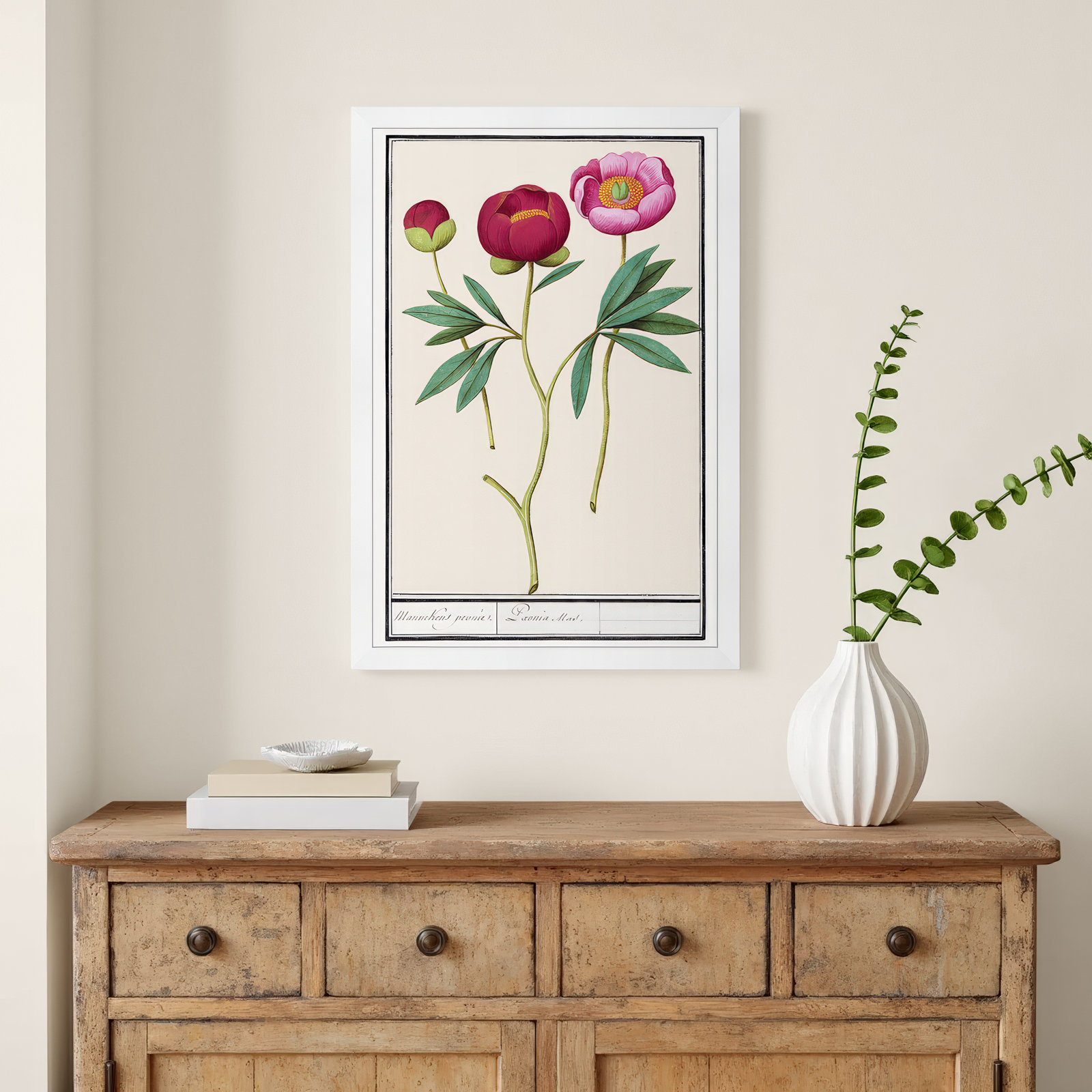 Red and Pink Peony Botanical Study Print, White, 32" H x 22" W