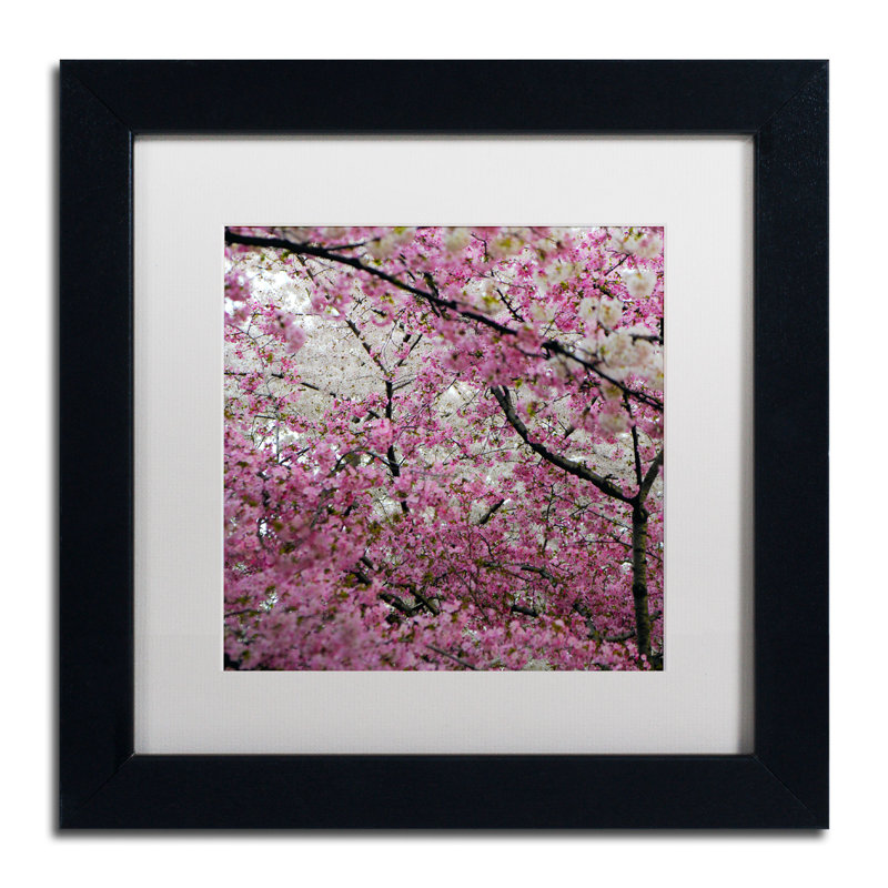 «Cherry Blossoms 2014-3» par CATeyes, Khosrov, reproduction de photo encadrée, H 11 po x l 11 po, Blanc