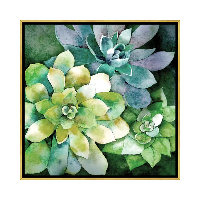 «Summer Succulents» par Conrad Knutsen, impression sur toile tendue sur châssis, H 16 po x l 16 po x P 1,5 po, Pas de tapis