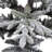 60' Lighted Christmas Tree