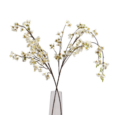 Anastasija Arrangement