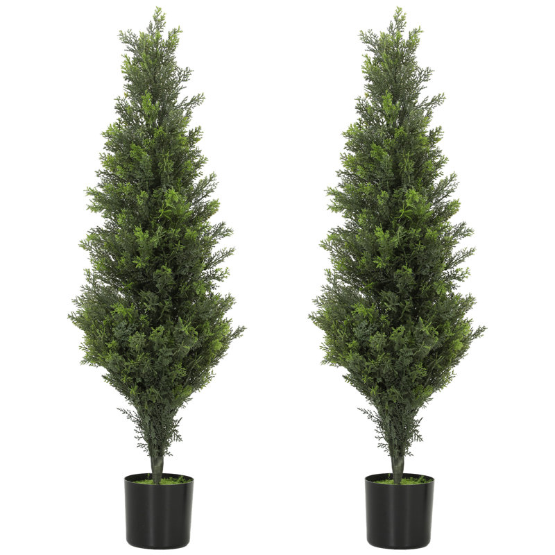 Plant, 90 (cm) x 29 (cm)