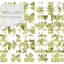 Panneau de papier peint Succulent-74722052-71797739