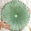  Coussin décoratif en velours-1907509255