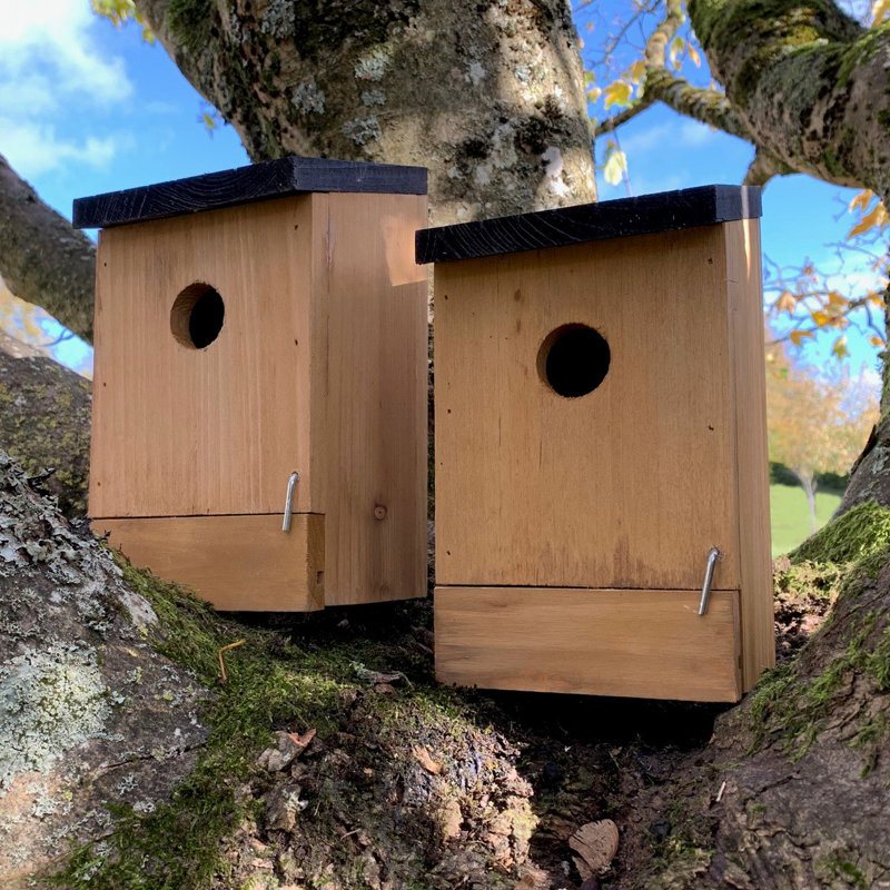 Traditional Wooden Mounted Bird House with Removable Bases