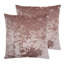 Square Cushion-1678245790-1678245791
