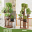 Plant Stand
