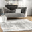 Deedra Modern Abstract Power Loom Performance Gray/White Rug-1674034650