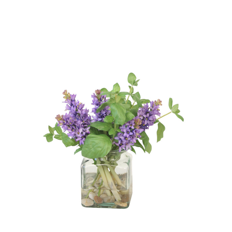 Hyacinth's in Clear Vase