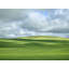Spring In The Palouse Print by Bruce Heinemann-65796041-132439351