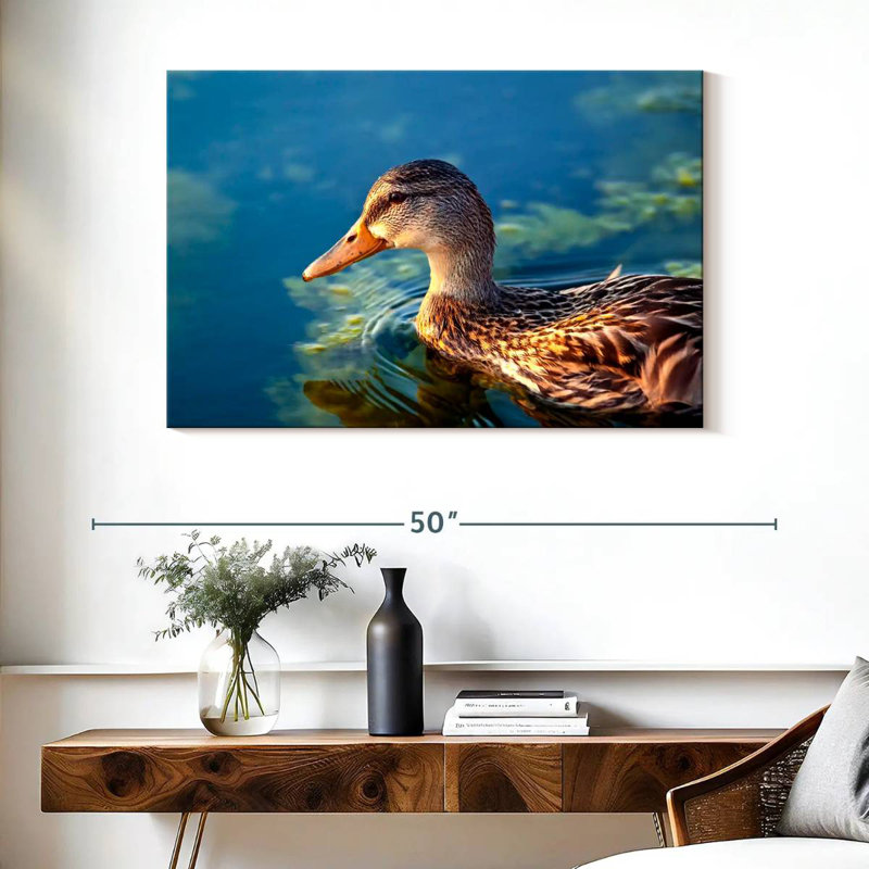 Canard colvert sur l'eau, H 26 po x l 39 po