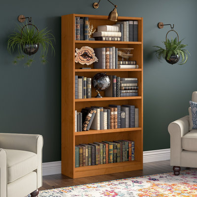 Doyno Tall 5 Shelf Bookcase, Storage and Display Bookshelf for Home Office and Living Room