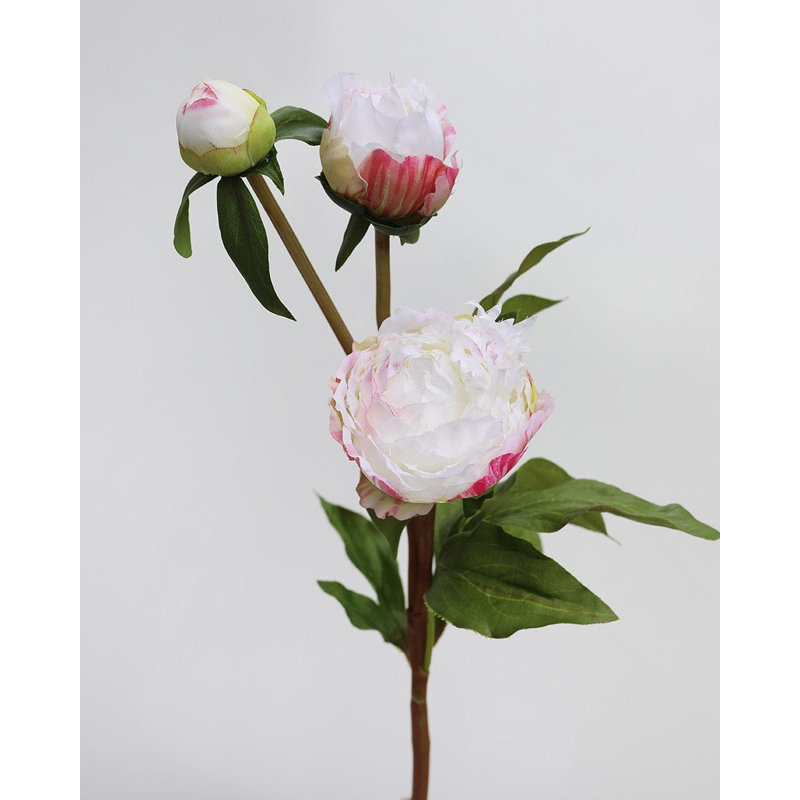 Soft Yellow Peony 19", Pink/White