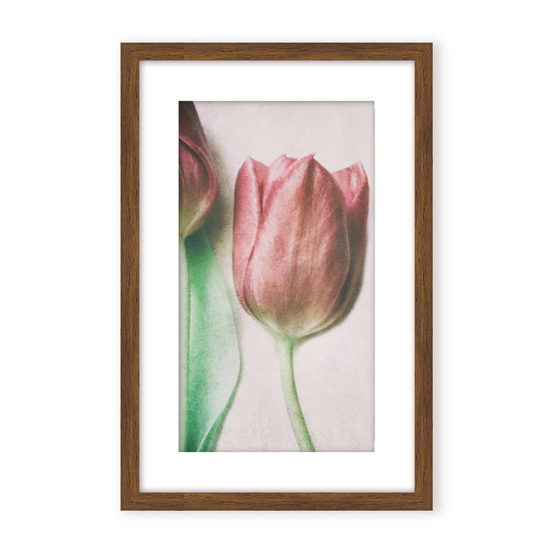Nature Inspired The Spring Lovers by  - Picture Frame Graphic Art on Paper, Framed Canvas, 48" H x 32" W x 2.375" D, White