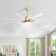 66" Brixham 8-Blade Modern Ceiling Fan with LED Light and Remote Control