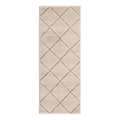 Latitude Run® Checks Novica Rug White and Silver
