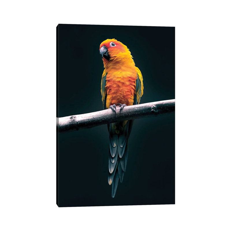 Parrot by Nikita Abakumov - Wrapped Canvas Print