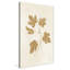 Botanical Study III Gold Crop - Peinture-940370899-940370908