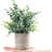 Kamira Faux Eucalyptus Plant-798696934