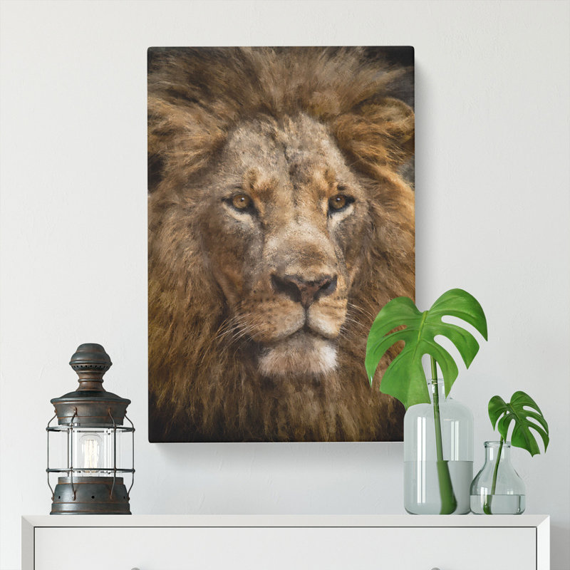 Face Of A Lion - Wrapped Canvas, 76cm H x 50cm W x 3cm D