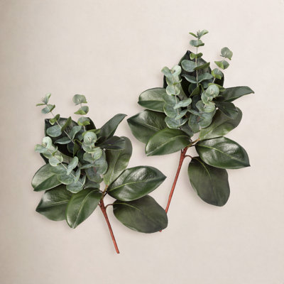 20" Southern Magnolia and Eucalyptus Spray