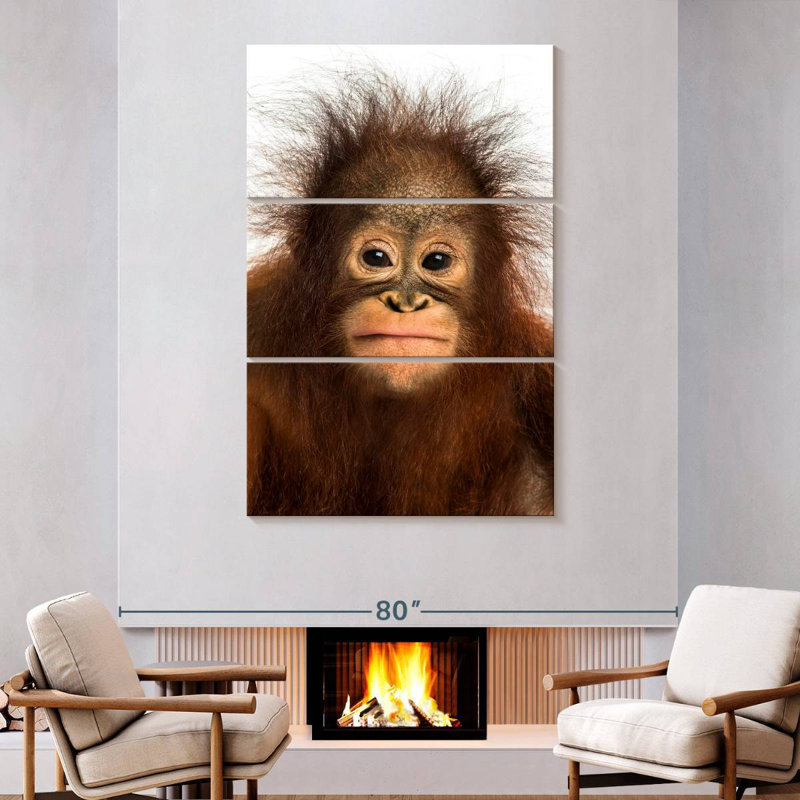 Brampt Hairy Forest Brampt, 74" H x 48" W