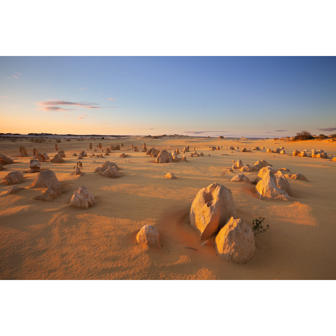 Sonnenuntergang über der Pinnacles Wüste von Sara_winter - Fotodruck