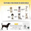 Remorque pour animal de compagnie