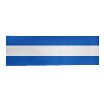 Tapis bleu area