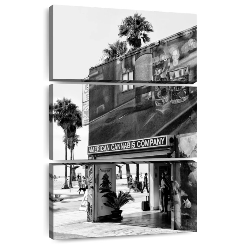 Lilie, marihuana américaine, Venice Beach, H 45 po x l 28 po