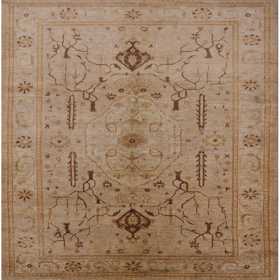 Oriental Indoor Rug