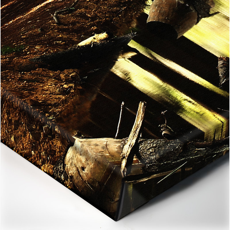 Into the Forest Nature - Reproduction de photo sur toile tendue, H 20 po x l 30 po x P 1 po