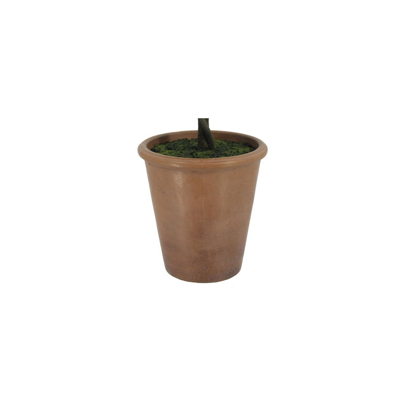 36" Double Boxwood Topiary in Pot