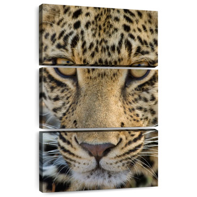 Visage léopard
