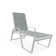 Holna Outdoor Rust-Resistant Metal Chaise Lounge