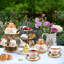 Service à thé en céramique émaillée British Vintage Rose, théière 23,6 oz, tasses 6,8 oz