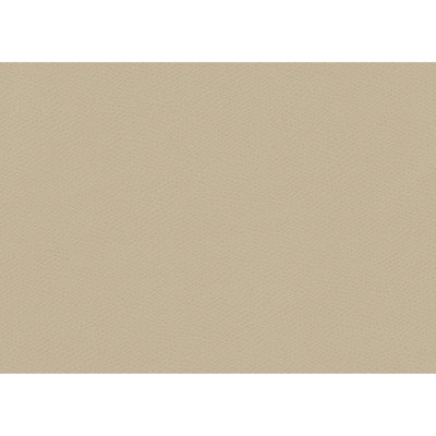 Ophidian Fabric