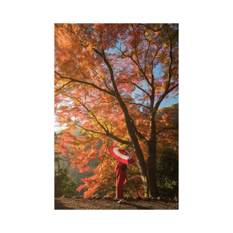 Autumn In Japan VI by Daniel Kordan - Wrapped Canvas Print, 66.04 cm H x 45.72 cm W x 1.91 cm D