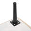 Rampe pliante pour chien, rampe pliante 2 en 1 pour animaux
