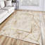Tapis en velours Arlo