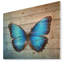 Floral, papillon bleu rétro, Impression sur toile - Papillon rétro-35120279-35120285