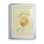 Dappled Oranges III - peinture encadrée-513155864-513155867